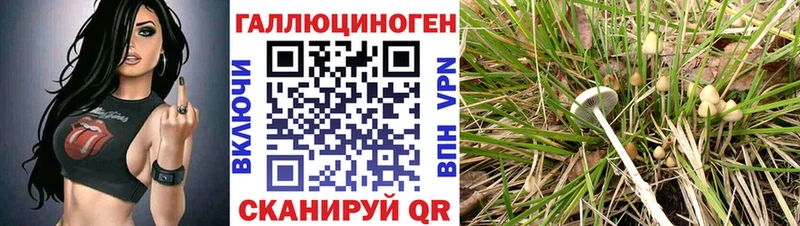 Галлюциногенные грибы прущие грибы  Красково 